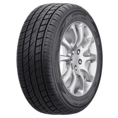 Fortune FSR-303 225 50 R18 99W
