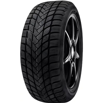 Delinte WD6 155 80 R13 79T